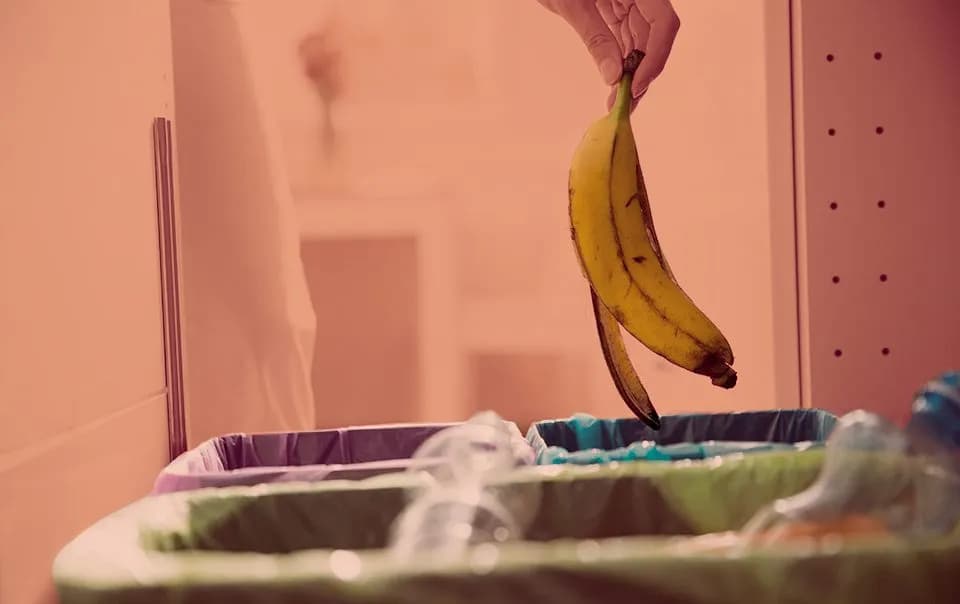 Cómo reciclar en casa: evita errores comunes y mejora tu impacto ambiental Cómo reciclar en casa: evita errores comunes y mejora tu impacto ambiental