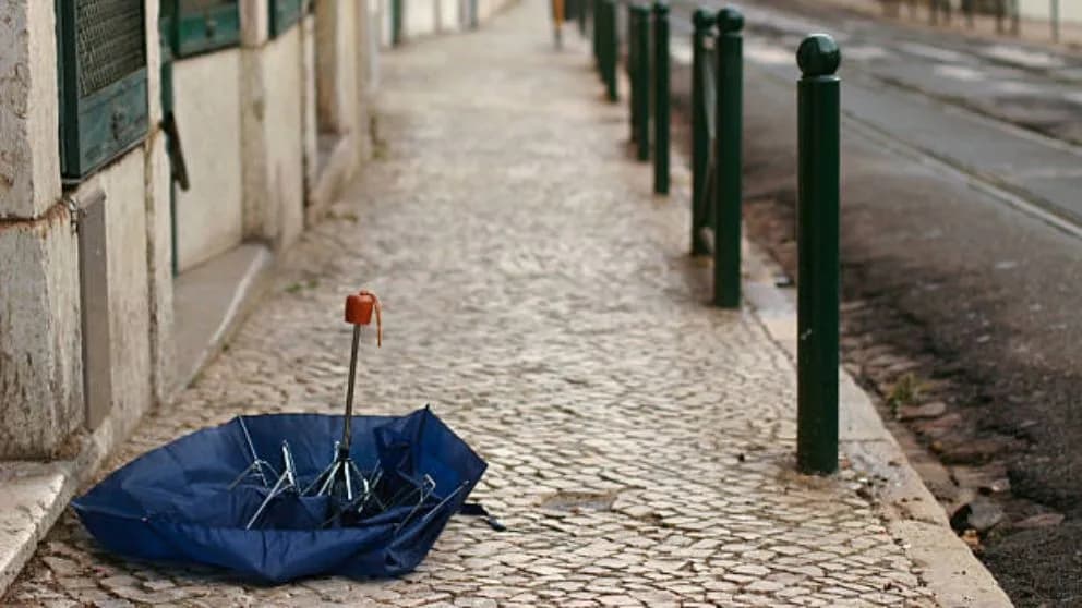 Dónde tirar un paraguas roto: opciones de reciclaje y desecho responsable Dónde tirar un paraguas roto: opciones de reciclaje y desecho responsable
